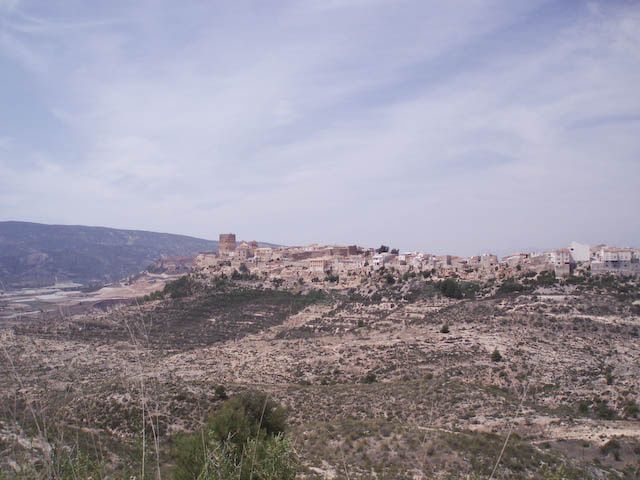 P4280085-9.jpg ht=480