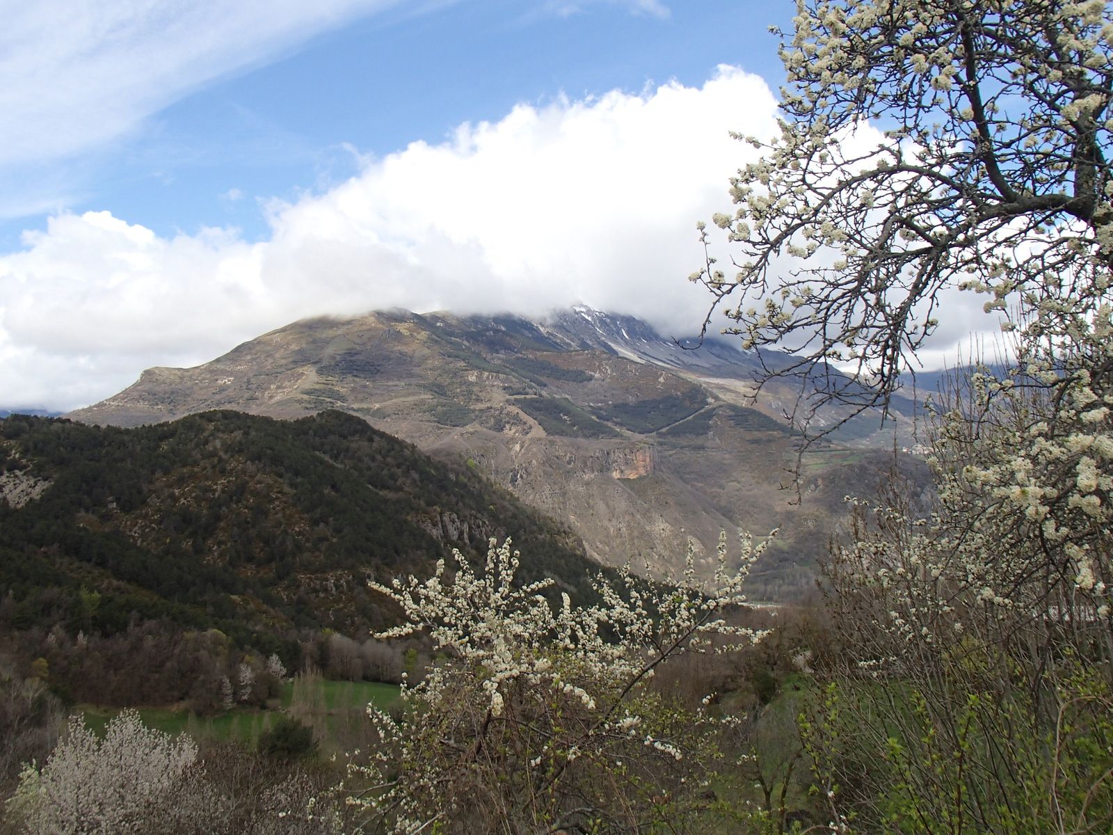 P4284554.JPG