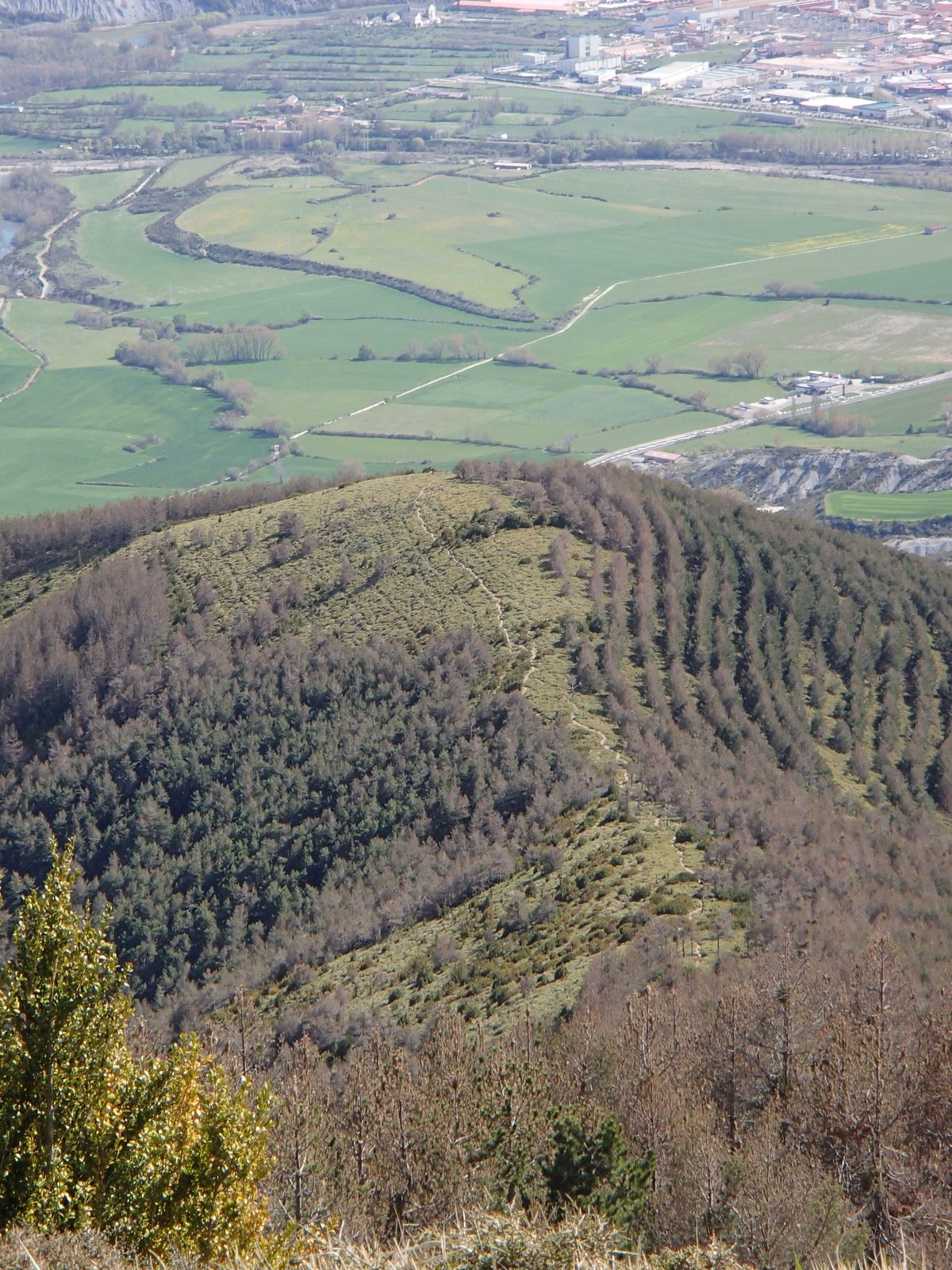 P4294615.JPG