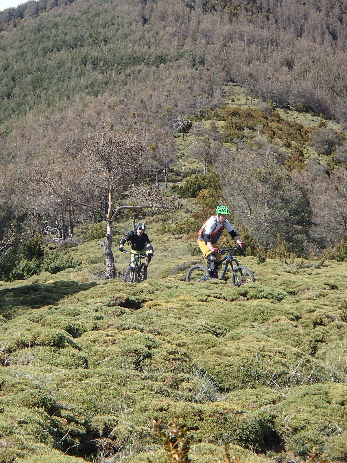 P4294621.JPG