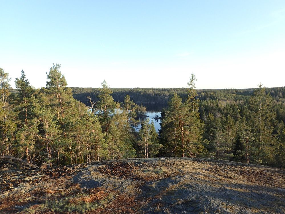 P5050027.jpg
