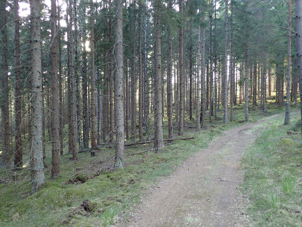 P5060075.jpg