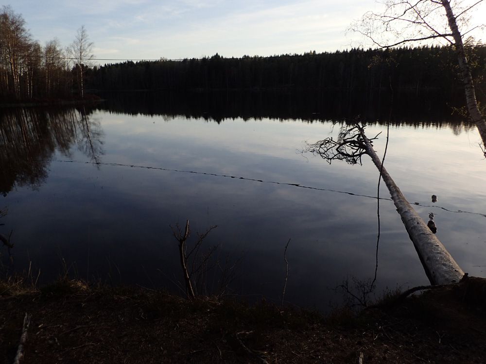 P5060085.jpg