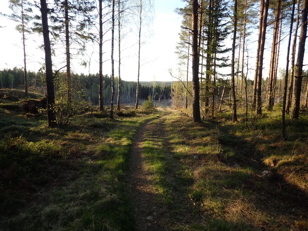 P5070197.jpg