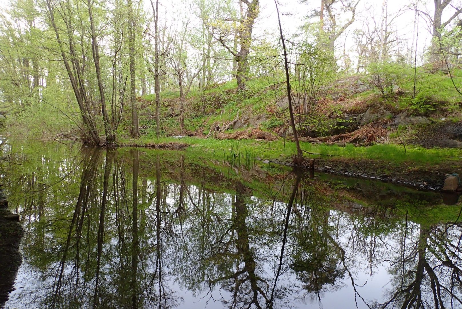 P5160706 (Large).jpeg