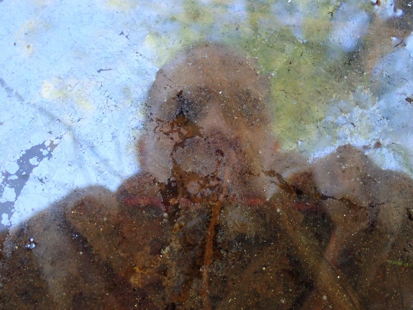 P5212341 (Large).jpeg