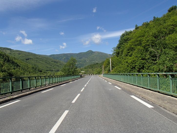 P5263216.JPG