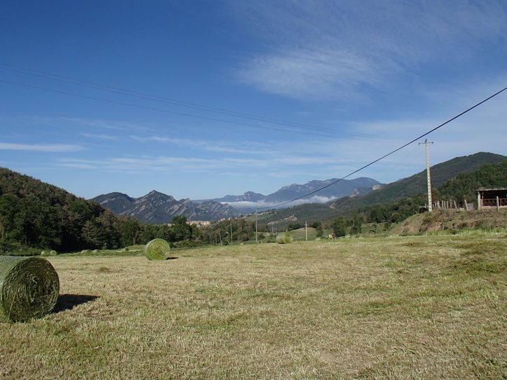 P5273373.JPG