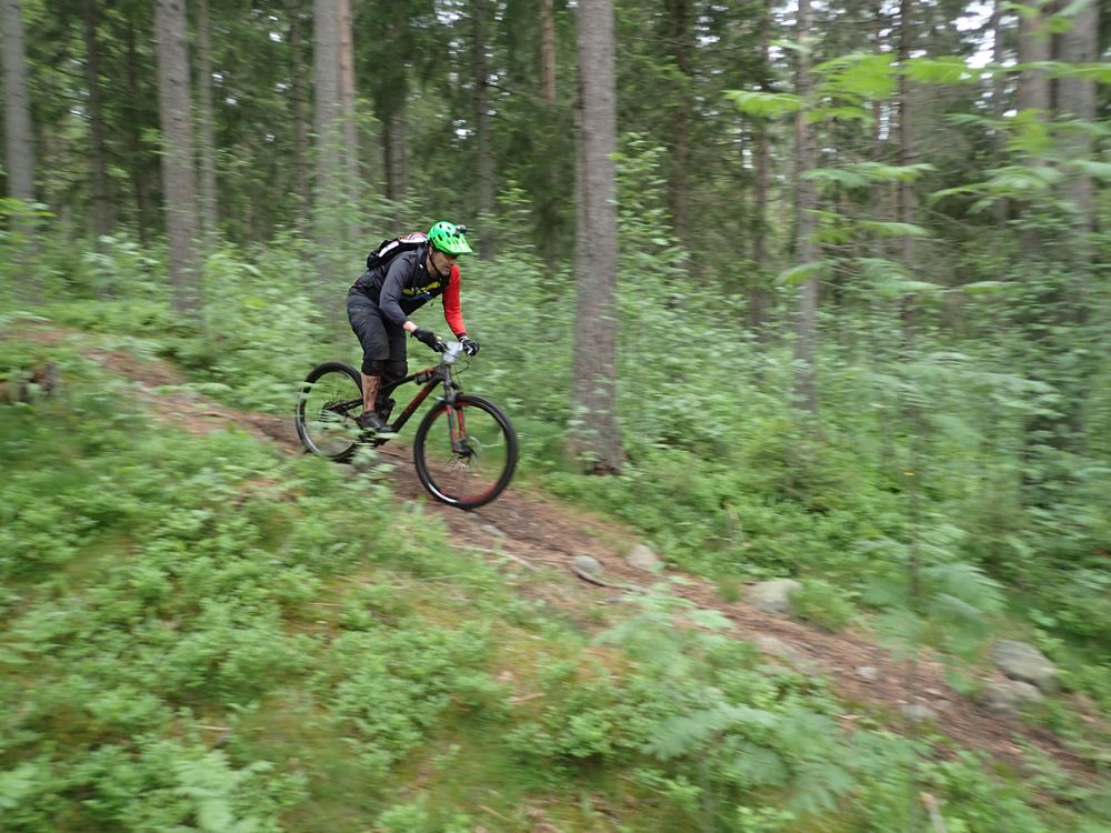P5290283.jpg