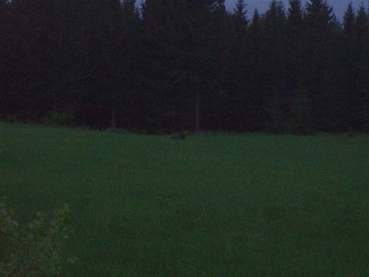 P5300113Small.JPG