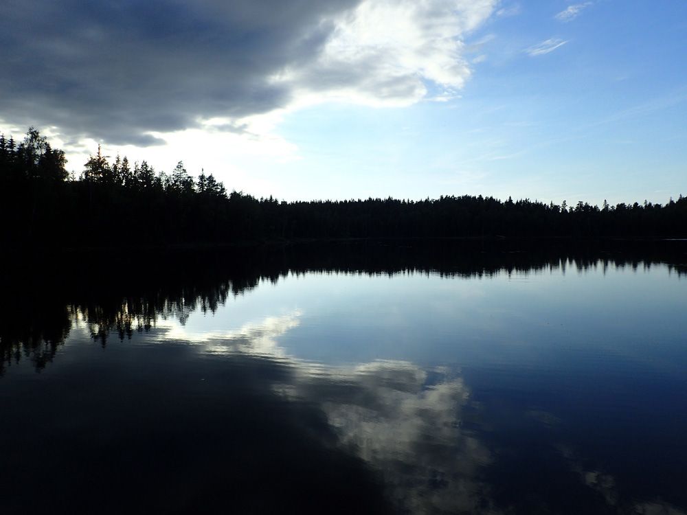 P6060044.jpg