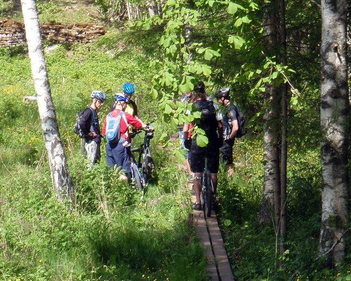 P6060088.JPG ht=581