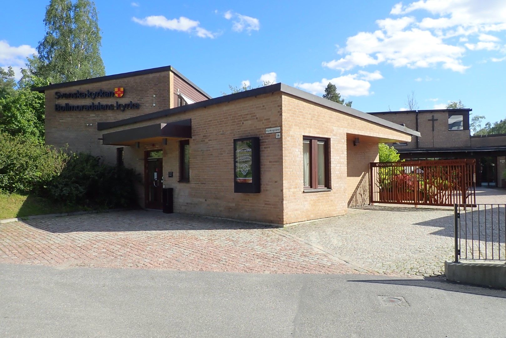 P6131442 (Large).jpeg