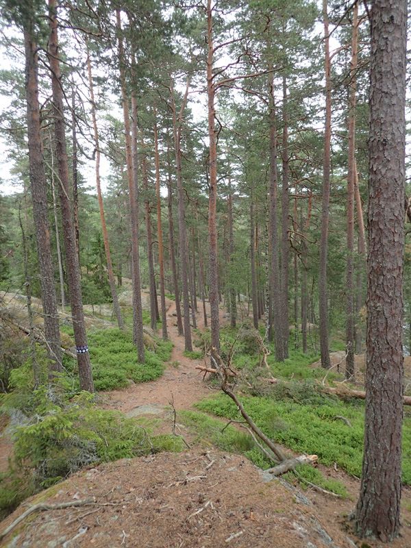 P6180009.jpg