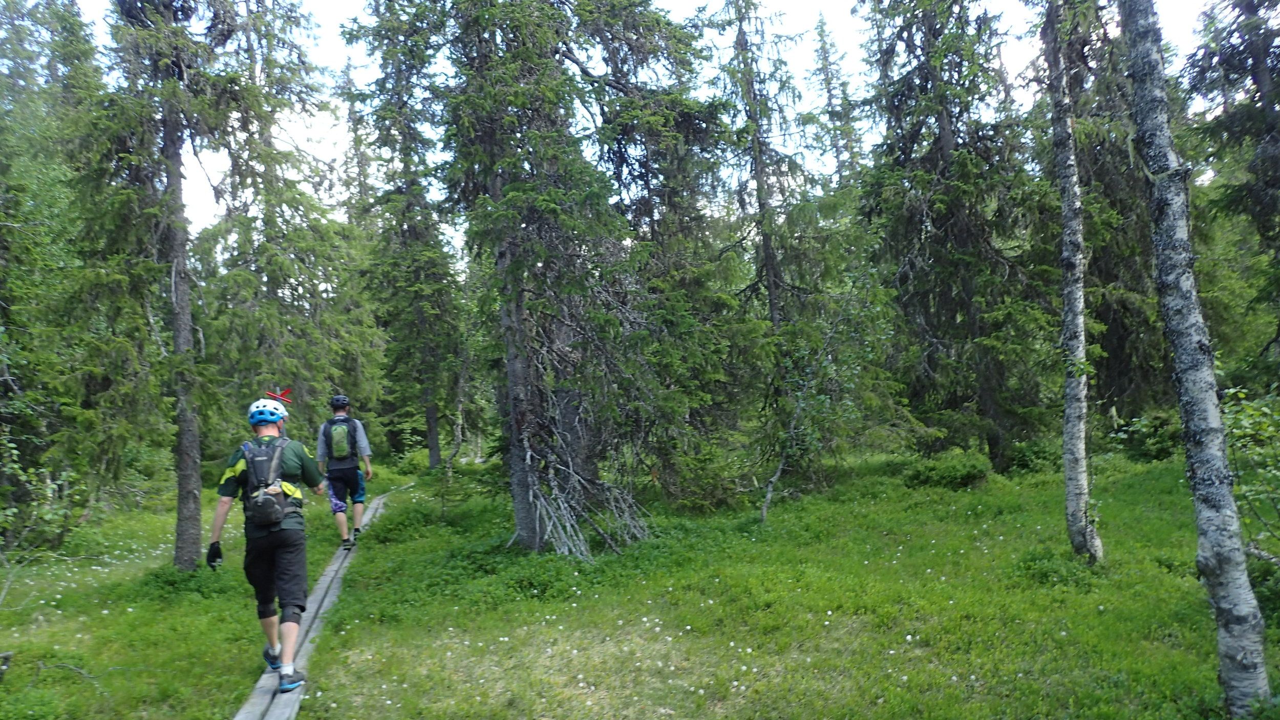 P6270038.JPG