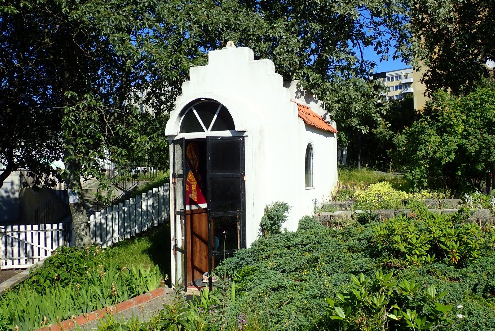 P6271669 (Large).jpeg