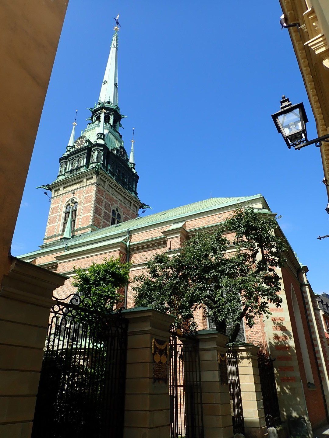 P6282678 (Large).jpeg
