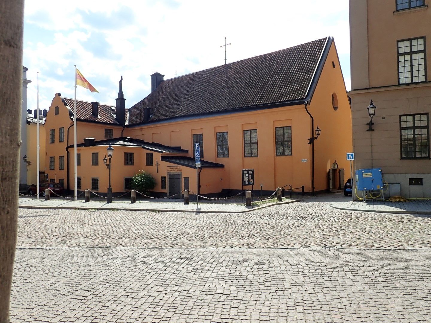 P6282680 (Large).jpeg