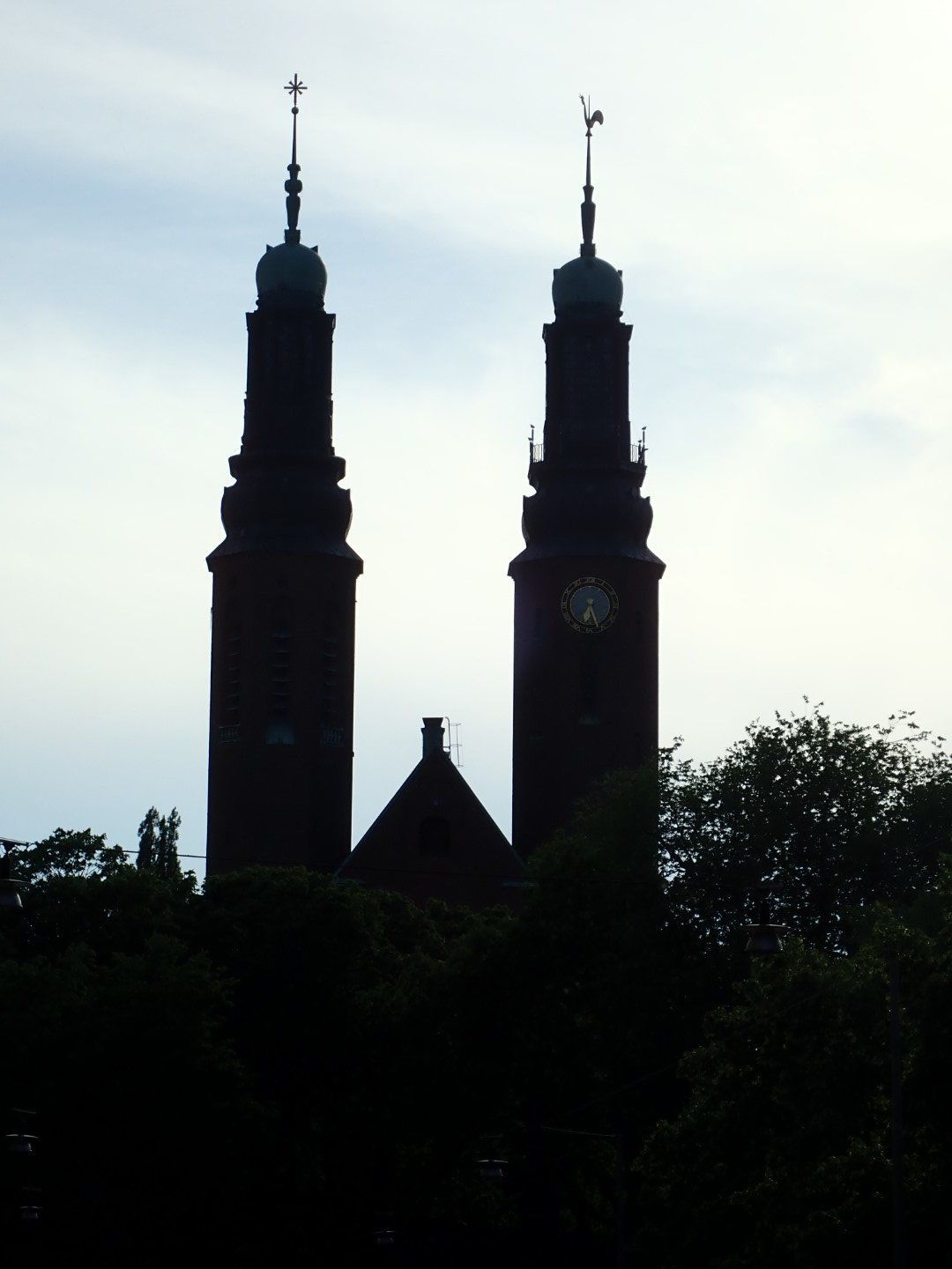 P6282716 (Large).jpeg
