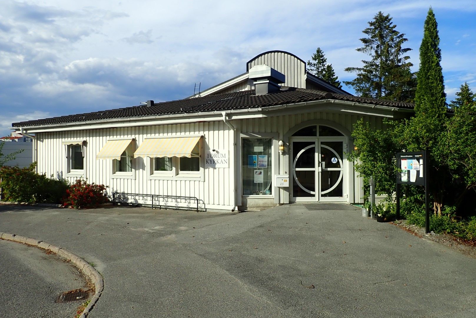 P6291694 (Large).jpeg