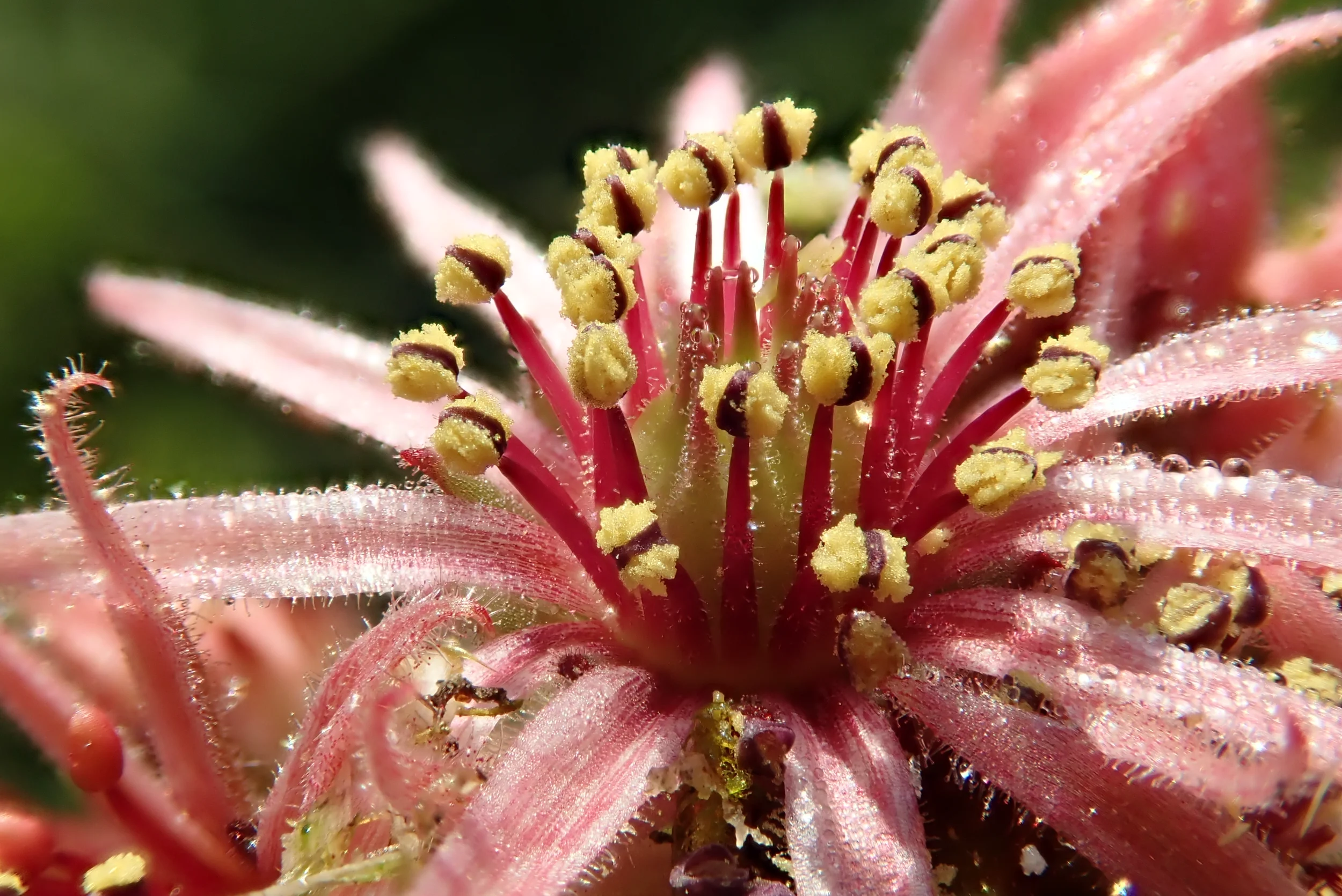 P7102858.webp