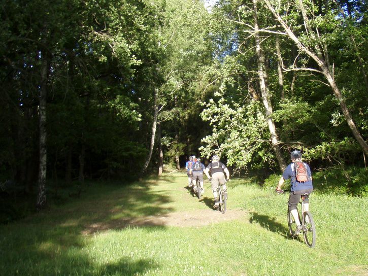 P7152220_2.jpg ht=544