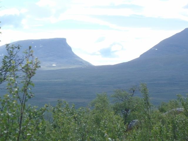 P7190363640x480.jpg