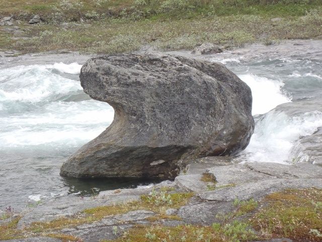 P7190396640x480.jpg