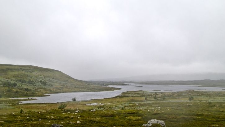 P7191168.jpg