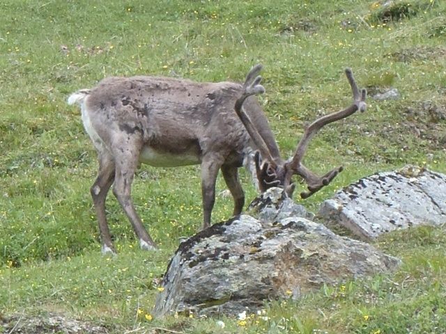 P7200414640x480.jpg