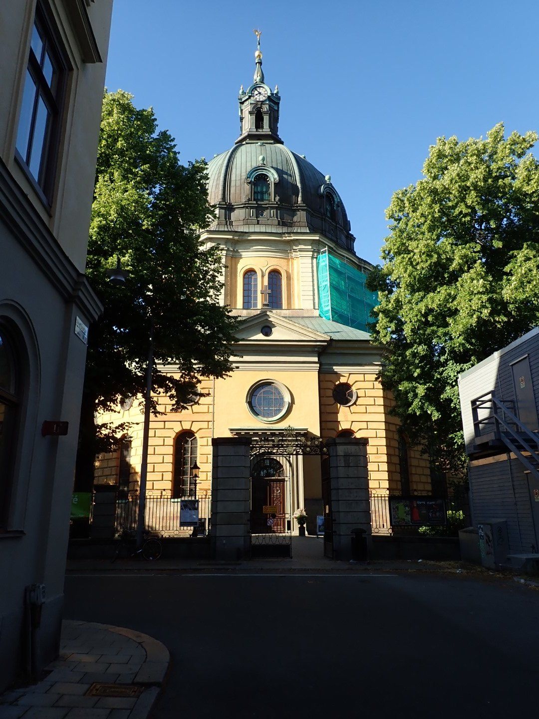 P7262915 (Large).jpeg