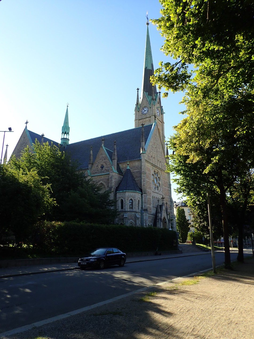 P7262916 (Large).jpeg