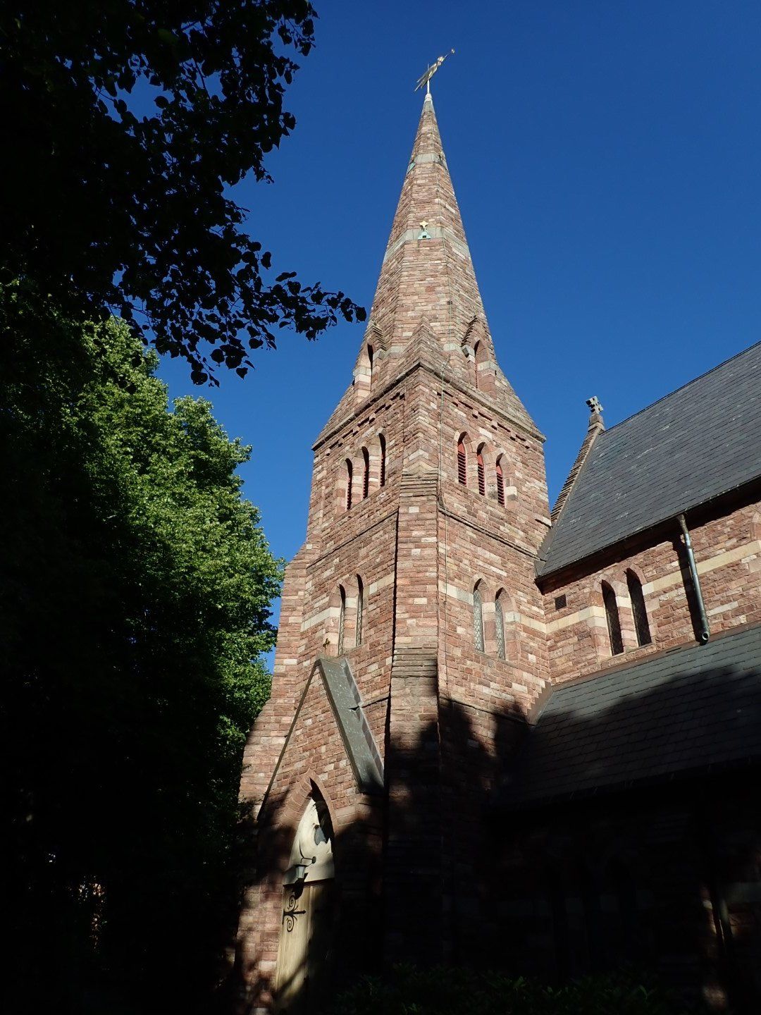 P7262924 (Large).jpeg