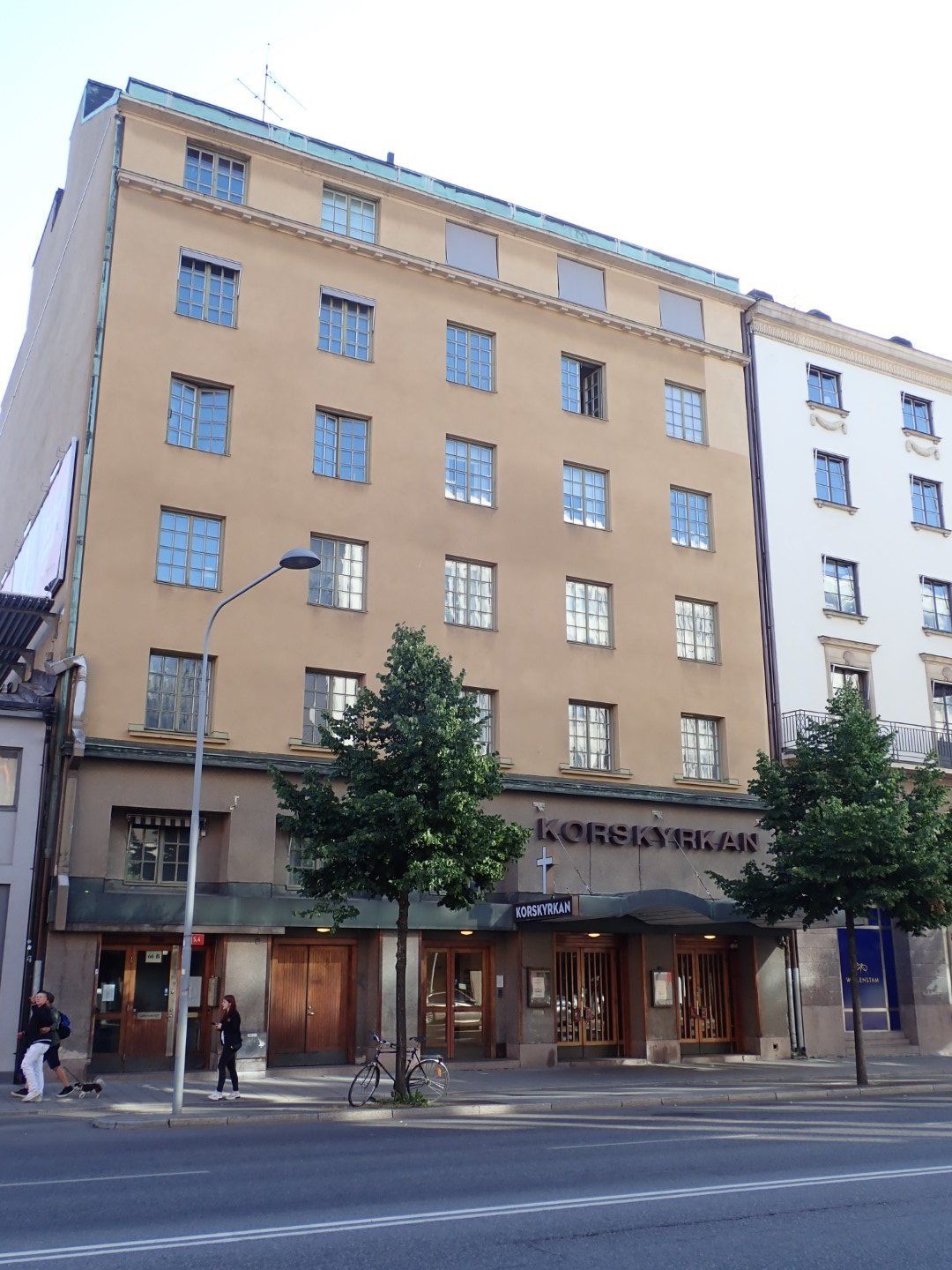 P7262934 (Large).jpeg