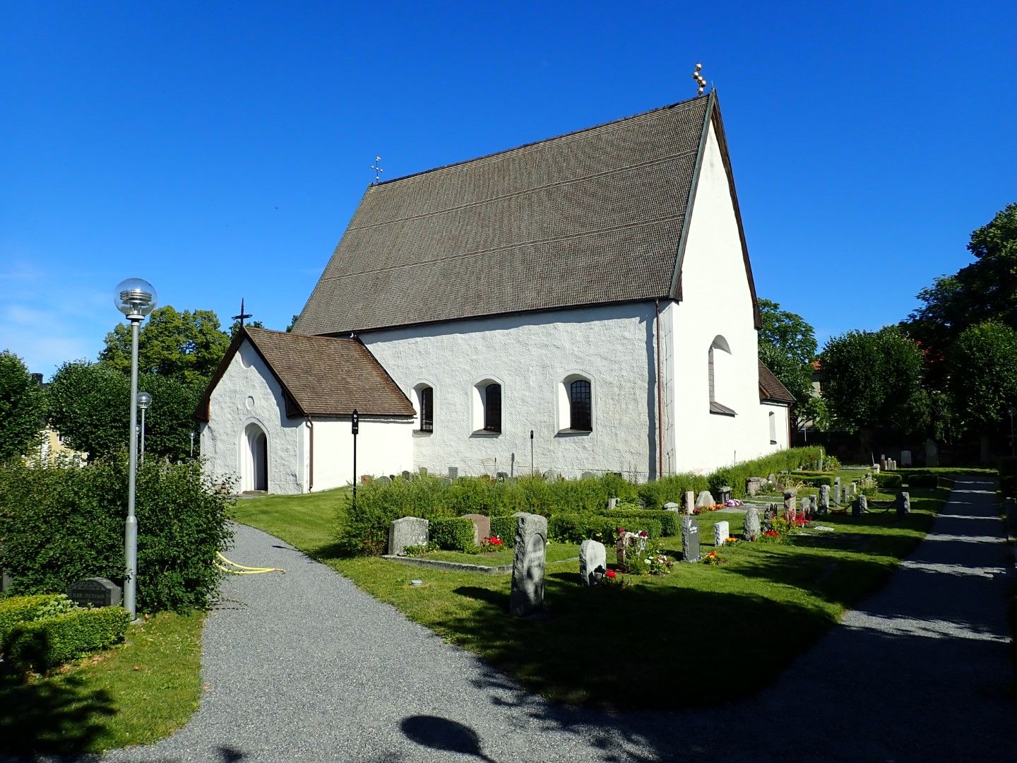 P7262937 (Large).jpeg