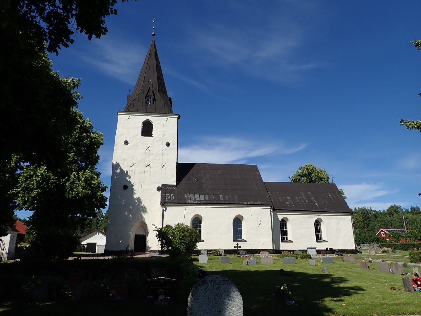 P7262947 (Large).jpeg