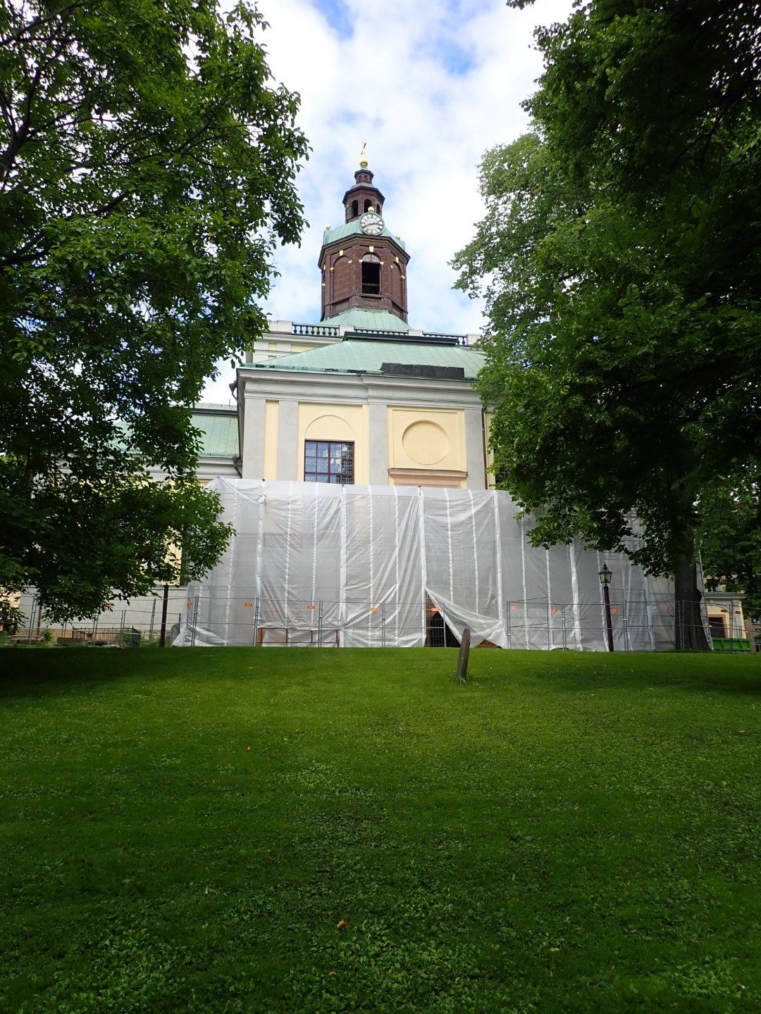 P7312983 (Large).jpeg