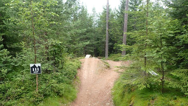 P8060078_edit.jpg