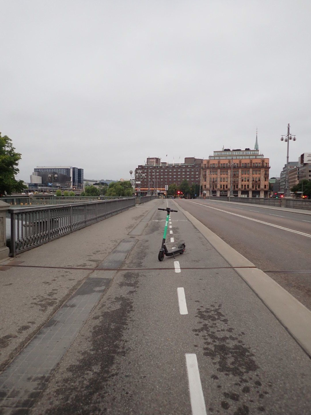 P8143155 (Large).jpeg