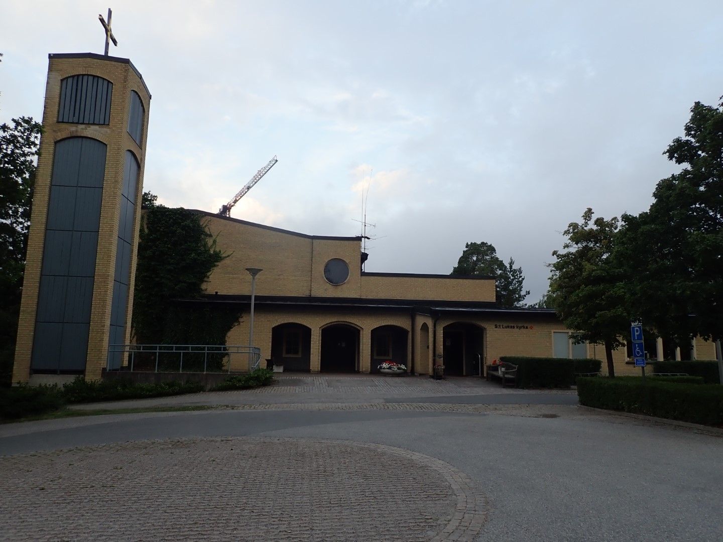 P8143156 (Large).jpeg