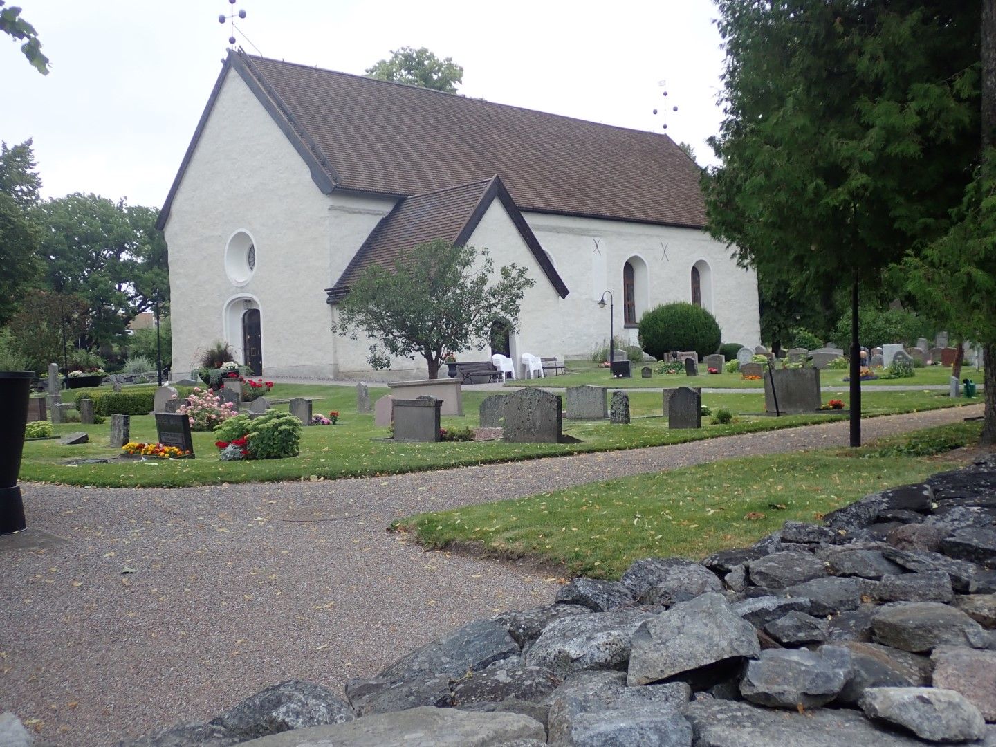 P8143159 (Large).jpeg