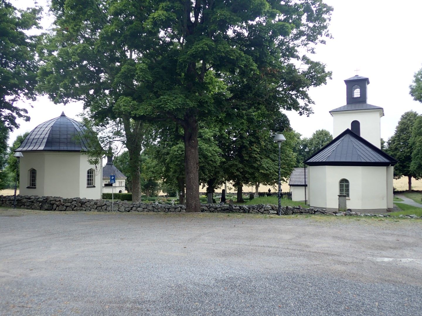 P8143162 (Large).jpeg