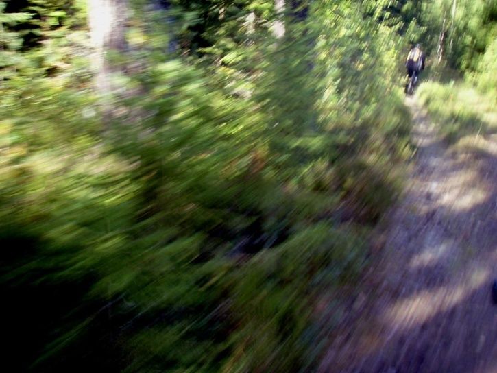 P9010462_web.jpg ht=544