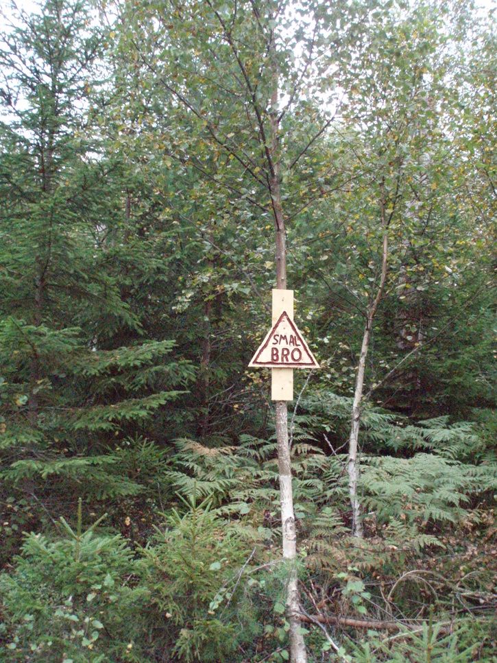 P9020101.JPG