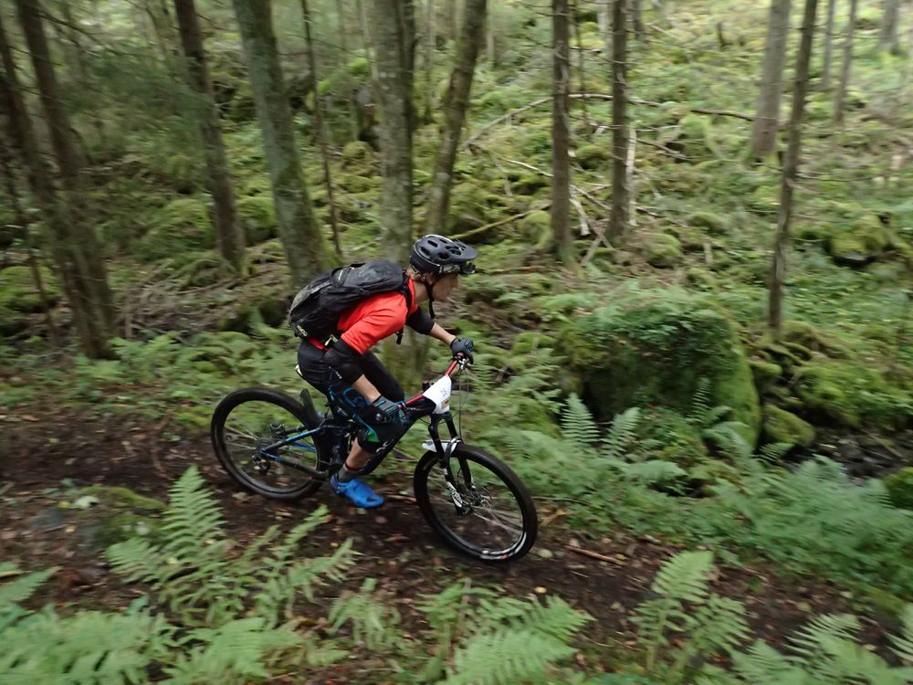 P9030259.jpg