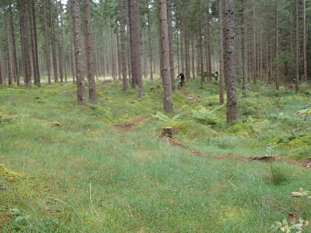 P9030329.jpg