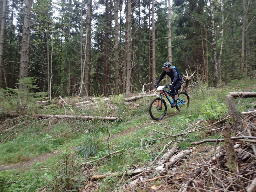 P9030416.jpg