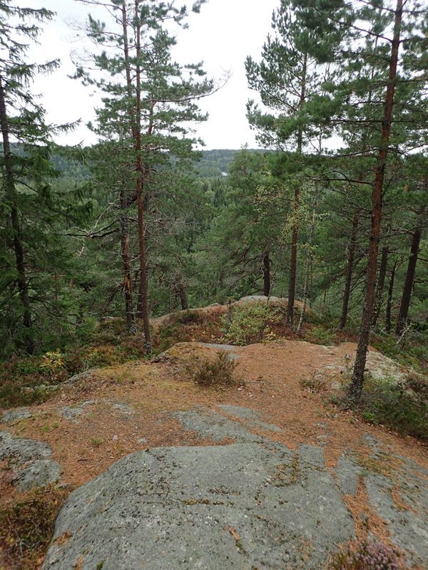 P9030473.jpg