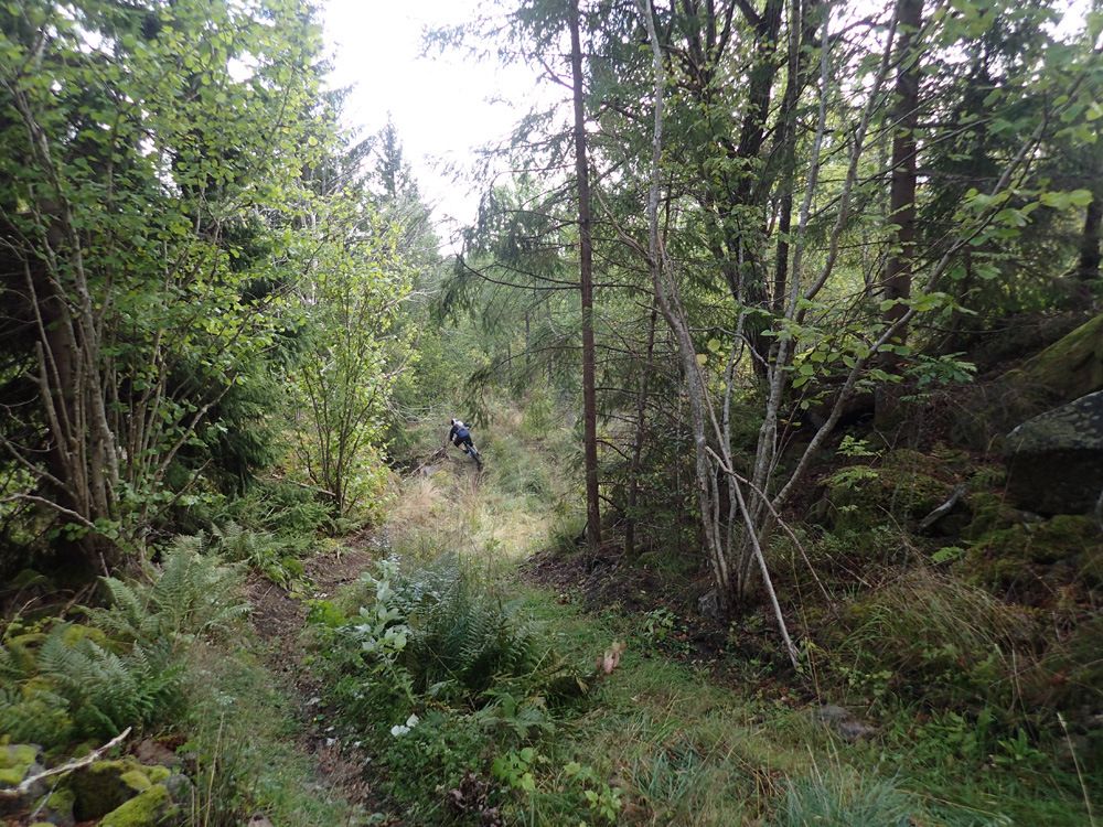 P9030646.jpg