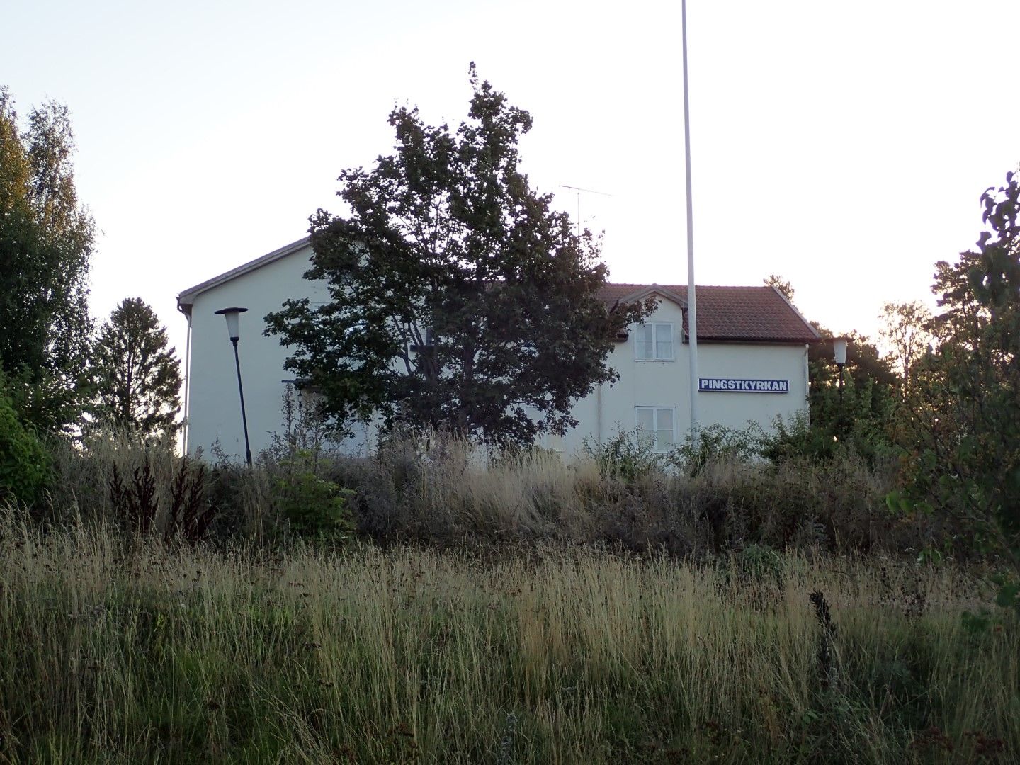 P9053364 (Large).jpeg